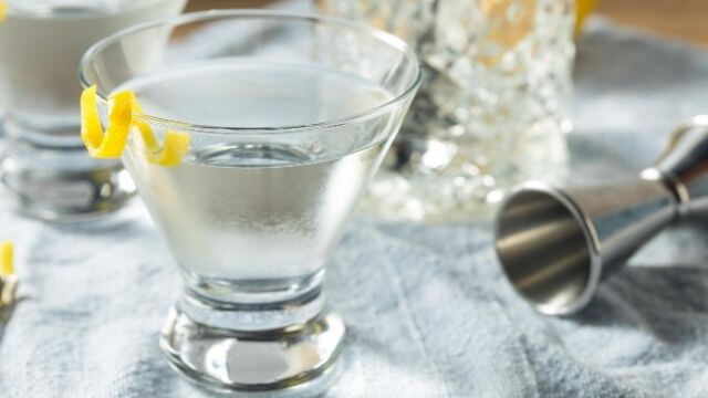 vodka or gin martini